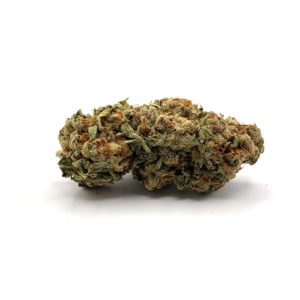 Romulan - Indica - Displayed in front of a white background