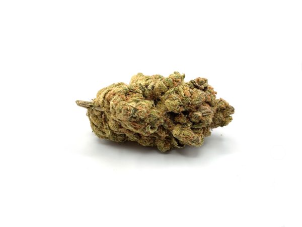 Tangerine Dream - Exotic Sativa - Displayed in front of a white background