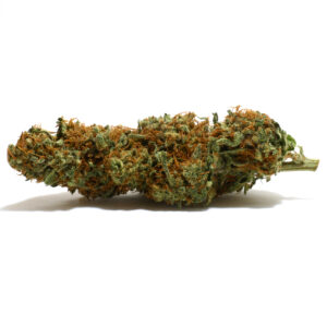 Alice in Wonderland strain displayed on Phatnug Canada Online Weed Dispensary