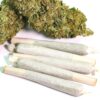 Pre-Roll Joints 5 Pack - 0.5g - Sativa, Indica, Hybrid