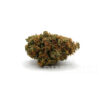 Willy Wonka - Sativa Hybrid Strain - 21% THC