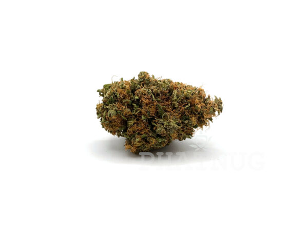 Willy Wonka - Sativa Hybrid Strain - 21% THC